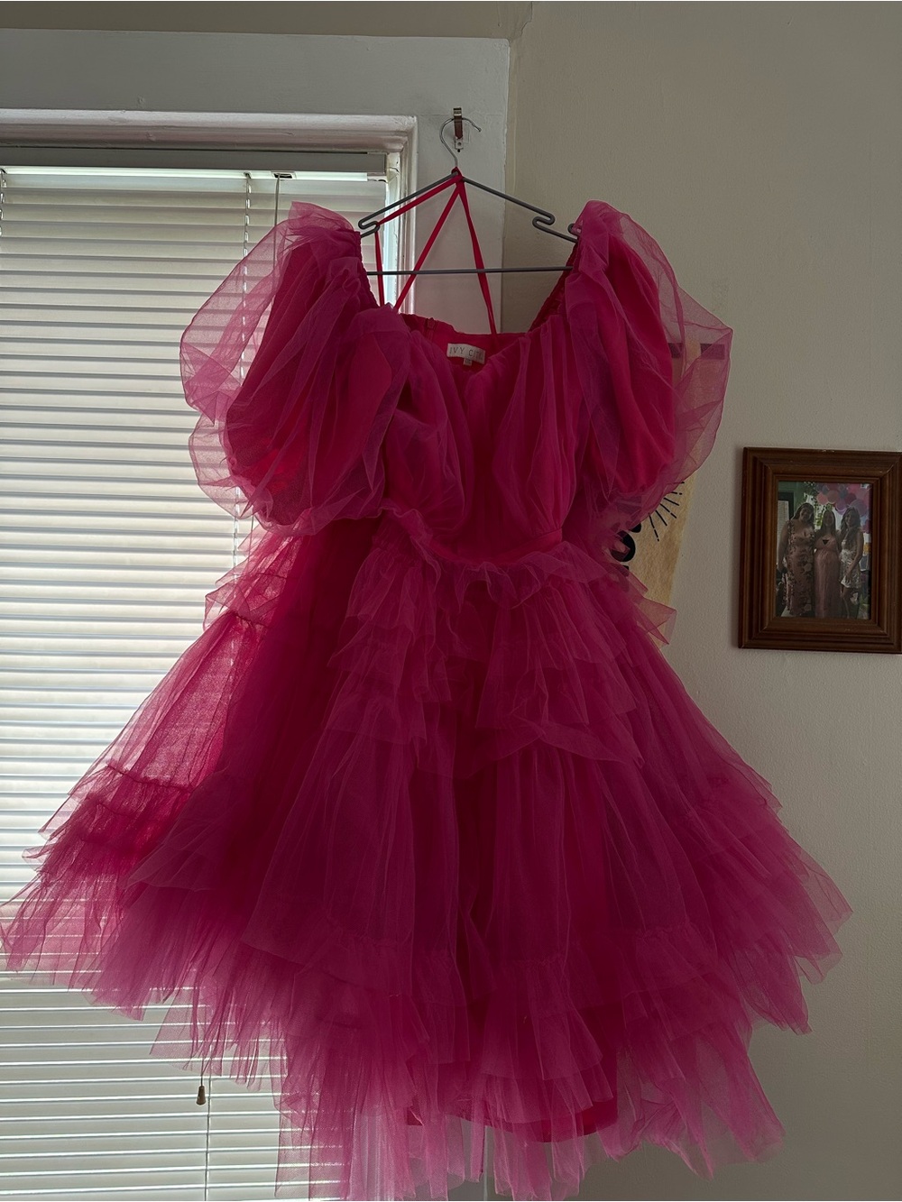 Ivy City Co Hot Pink Plus Size Tulle Mini Dress